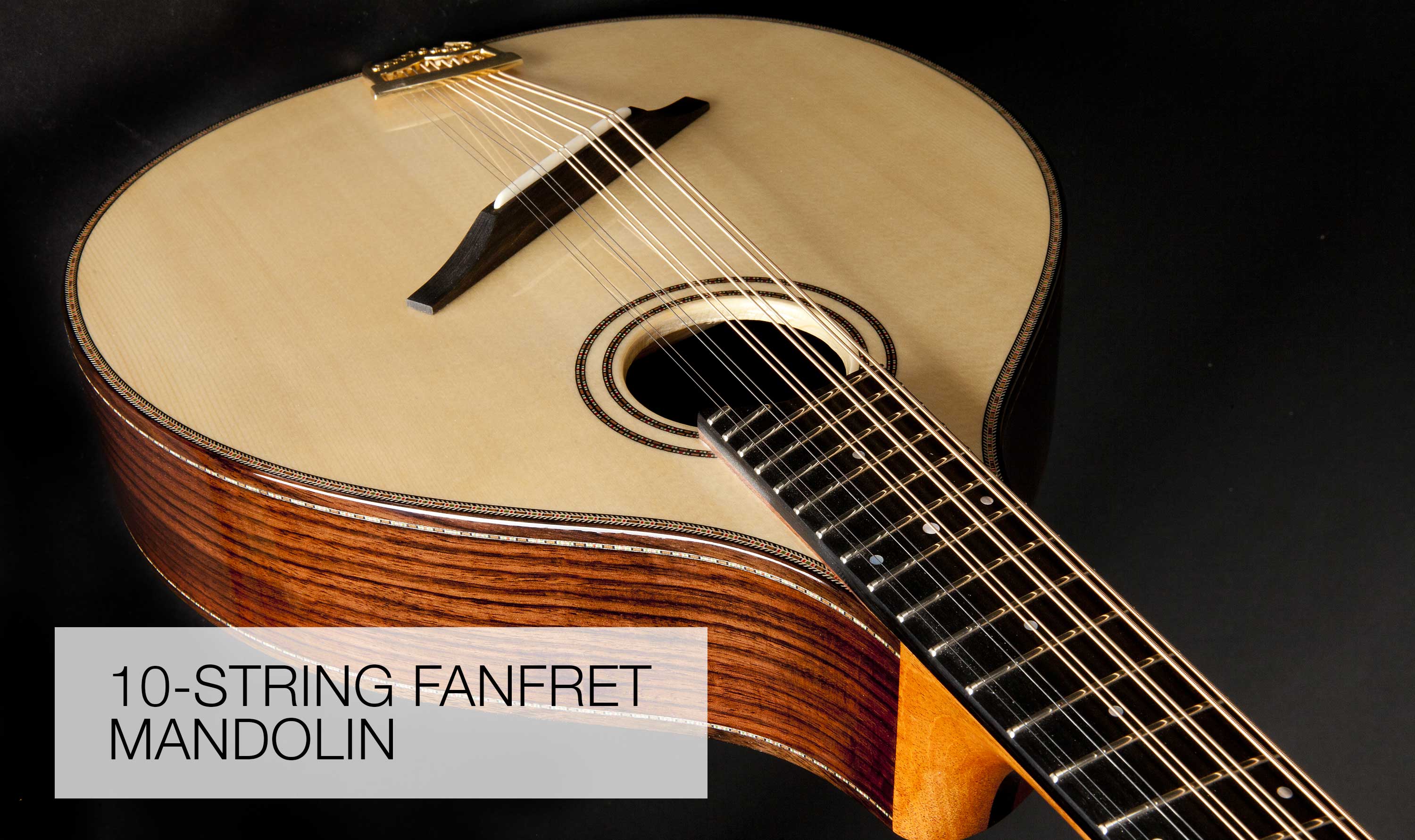 10 string mandolin clearance